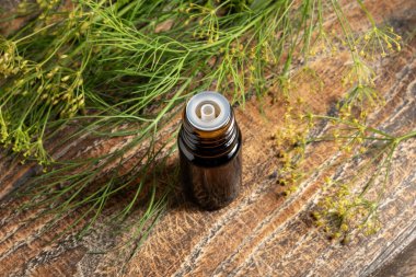 Anethum Graveolens çiçekli koyu bir dereotu tohumu yağı şişesi