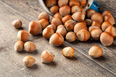 Fındıklar masaya döküldü.