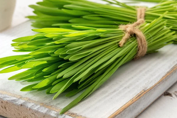 Färskt korn gräs på en vit bakgrund — Stockfoto