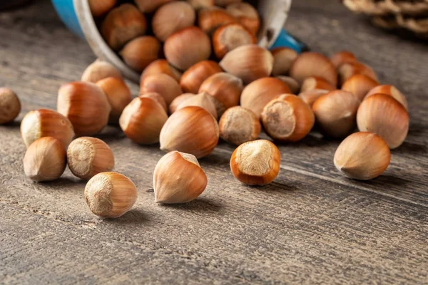 Ganze Haselnüsse auf einem Tisch mit Kopierplatz — Stockfoto