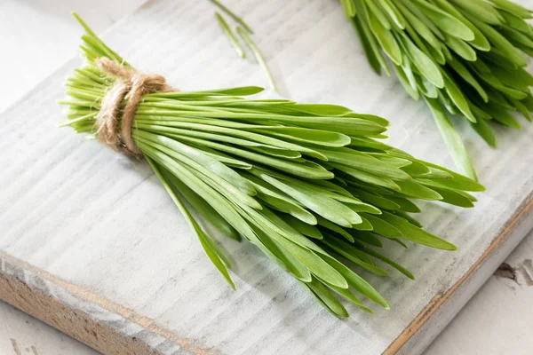 Freshly grown barley grass on a white table — Stock Photo, Image