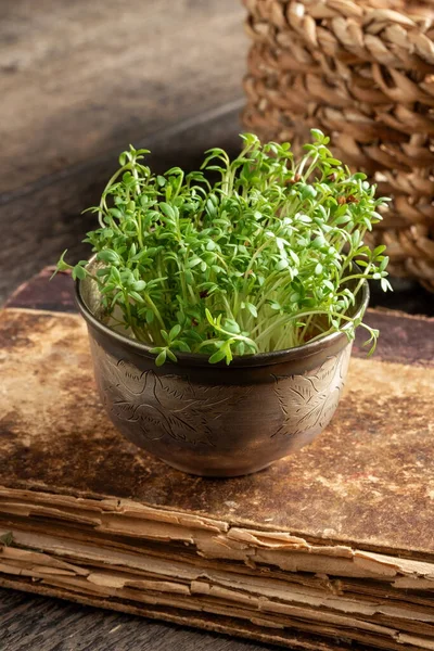 Fresh garden cress in a bowl on a table — Stok fotoğraf