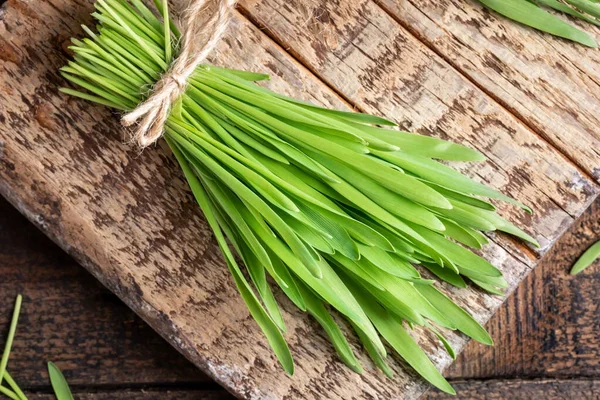 Freshly grown barley grass on a table, top view