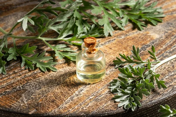 Een fles alsem etherische olie met verse Artemisia Absinthi — Stockfoto