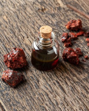 Croton lechleri, veya Sangre de drago yağı ve reçine