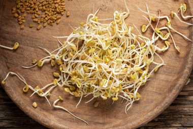 Fenugreek sprouts, with dry seeds in the background