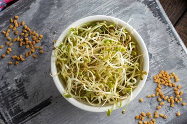 Taze çam ağacı filizleri ve kuru tohumlar.