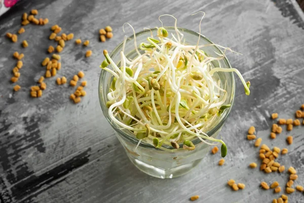 Fresh fenugreek sprouts in a glass — Stock Photo, Image