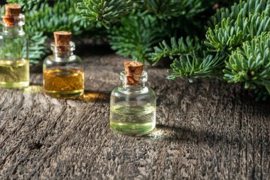 Köknar dalları ve kopyalama alanı olan bir şişe gerekli yağ.