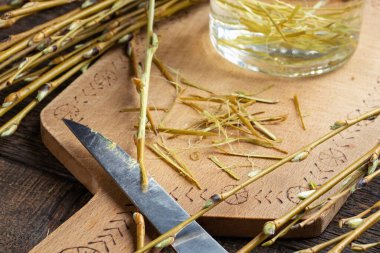 Söğüt ağacının kabuğunu soymak ya da tütsü hazırlamak için salya akıtmak.