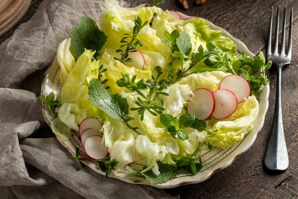 Tavaszi Saláta Vadsalátával Ehető Növényekkel Csirkefű Fiatal Ágyszalma Közönséges Mellbimbó — Stock Fotó