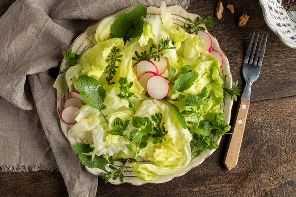 Tavaszi Saláta Vadon Termő Ehető Növényekkel Csirkefű Fiatal Ágyszalma Közönséges — Stock Fotó