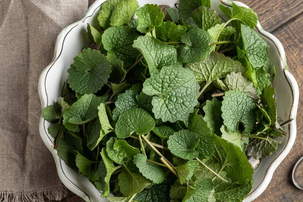 Tampilan Puncak Mustard Bawang Putih Atau Daun Alliaria Petiolata Atas — Stok Foto