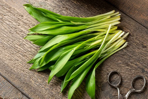 Hojas Jóvenes Ajo Silvestre Recogidas Principios Primavera — Foto de Stock