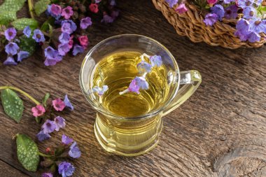 A cup of lungwort tea with fresh pulmonaria flowers clipart