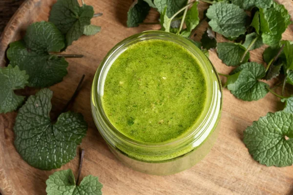 A jar of homemade pesto made from young leaves of garlic mustard or Alliaria petiolata - a wild edible plant