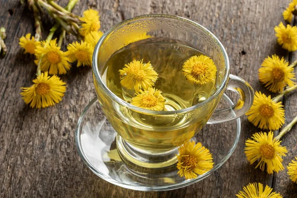 Chá Ervas Com Flores Frescas Coltsfoot — Fotografia de Stock