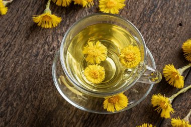 Taze Tussilago farfara çiçekli bir bardak coltsfoot çayı, en iyi manzara.