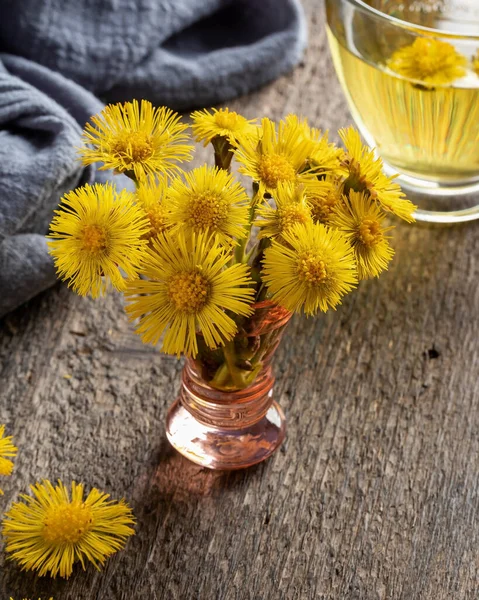 Свежий Цветущий Coltsfoot Tussilago Farfara Завод Столе — стоковое фото