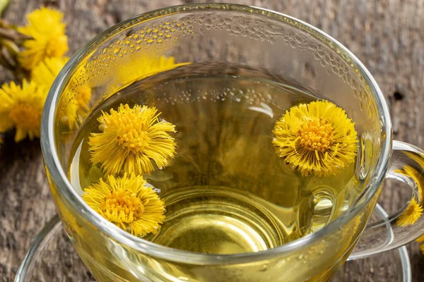 Friske Coltsfoot Blomster Kop Urtete - Stock-foto