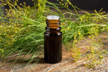 Taze açmış Anethum mezarları olan koyu bir dereotu tohumu yağı şişesi.