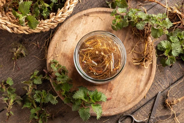 Preparation Herbal Tincture Fresh Nettle Root Collected Early Spring — Stock Photo, Image