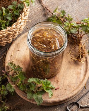 Bahar başında toplanan taze ısırgan otu köklerinden alınan alkol tentürünün hazırlanması