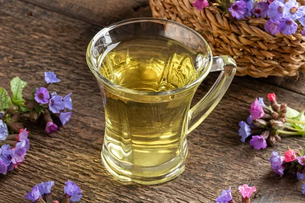 Ένα Φλιτζάνι Τσάι Από Βότανα Φρέσκα Ανθισμένα Φυτό Lungwort Συλλέγονται — Φωτογραφία Αρχείου