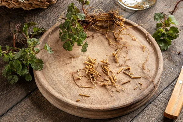 Snijnetelwortels Verzameld Het Voorjaar Ingrediënt Een Zelfgemaakte Kruidentinctuur Bereiden — Stockfoto