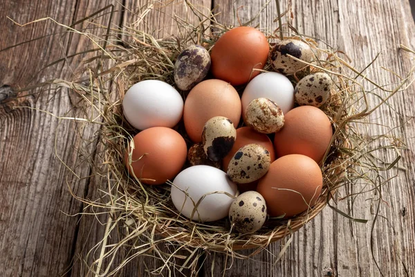 Tavuk Bıldırcın Yumurtası Sepette — Stok fotoğraf