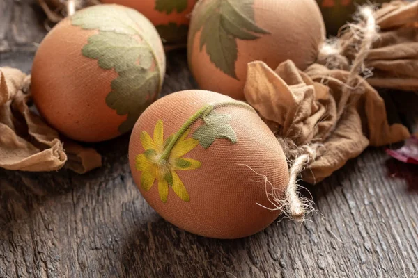 Paskalya Yumurtalarının Soğan Kabuklarıyla Ölmeye Hazır Taze Bitkiler — Stok fotoğraf