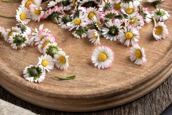 Nærbillede Friske Almindelige Daisy Blomster Skærebræt - Stock-foto