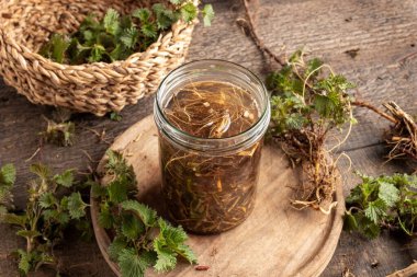 Bahar başında toplanan taze ısırgan otu kökünden elde edilen tentürlerin hazırlanması