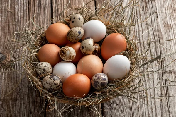 Tavuklar Bıldırcın Yumurtaları Samanlıkta — Stok fotoğraf