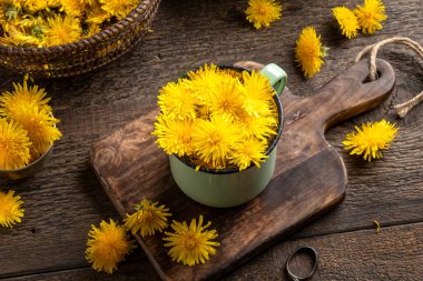 Taze karahindiba çiçekleri Masadaki yeşil tencerede