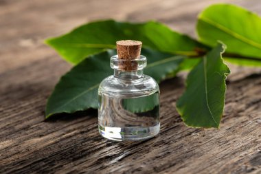 Taze defne yaprağıyla birlikte bir şişe gerekli yağ.