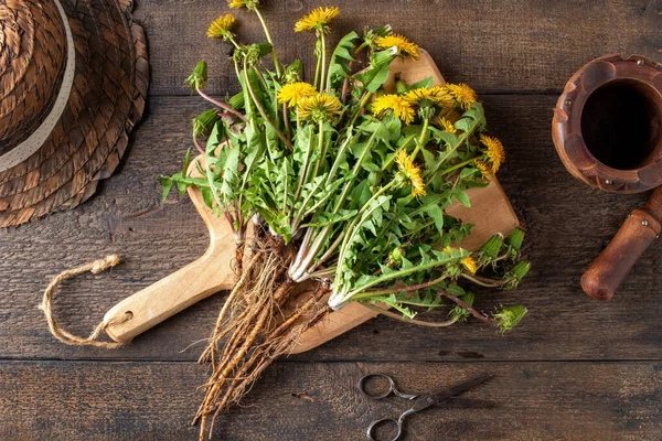 Hele Paardebloem Planten Met Wortels Een Tafel Bovenaanzicht — Stockfoto