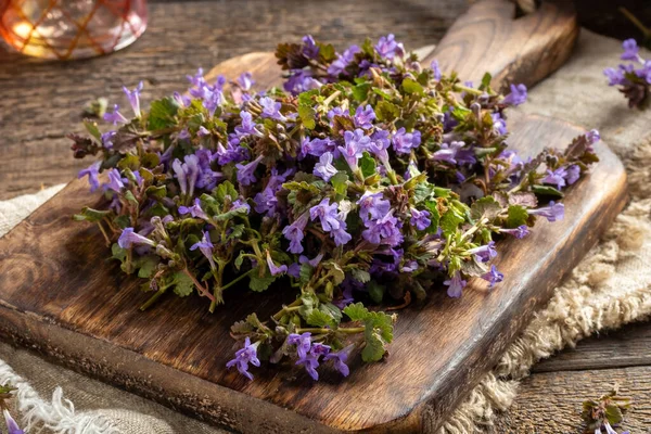 Fresh blooming ground-ivy on a cutting board