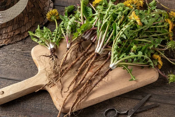 Plantas Enteras Diente León Con Raíces Una Tabla Cortar —  Fotos de Stock