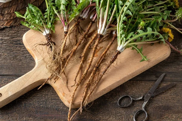 Löwenzahnwurzeln Auf Einem Holztisch — Stockfoto