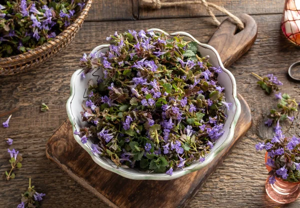 Fresh ground-ivy flowers in a bowl