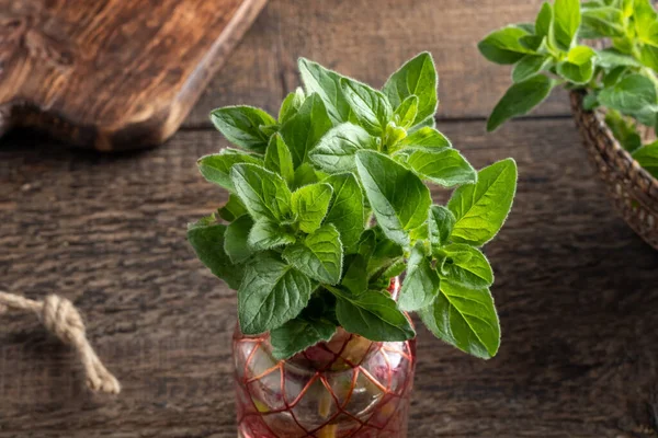 Las Hojas Frescas Orégano Florero Sobre Mesa — Foto de Stock