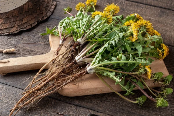Dandelion Roots Leaves Table — Stock Photo, Image