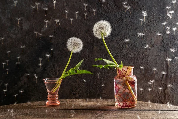 Two Dandelion Flowers Leaning Each Other Reaching Hands Concept Love — Stock Photo, Image