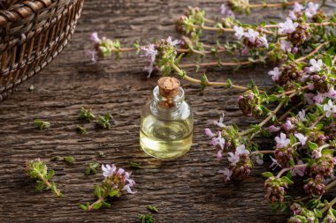 Taze çiçek açan kekik dallarıyla birlikte bir şişe gerekli yağ.