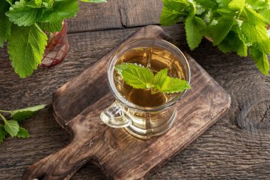 Taze Melissa yapraklı bir fincan bitki çayı.