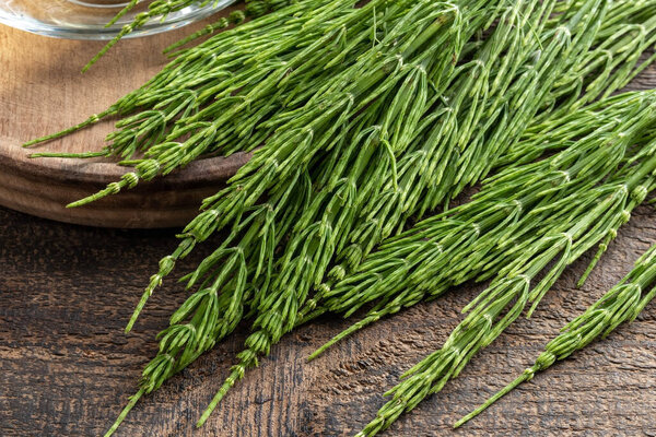 Closeup o fresh horsetail twigs on a table
