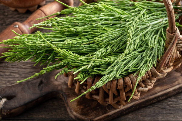 Fresh horsetail twigs in a wicker basket