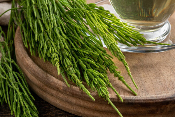 Fresh horsetail twigs on a table, with herbal tea in the background