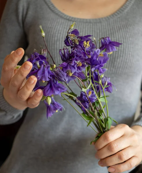 Flores Púrpuras Sostenidas Por Las Manos Una Mujer — Foto de Stock